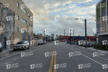 Statdteil Wynwood in Miami