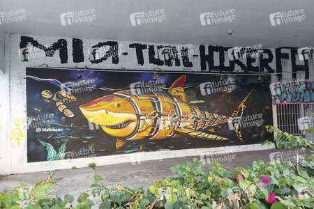 Statdteil Wynwood in Miami