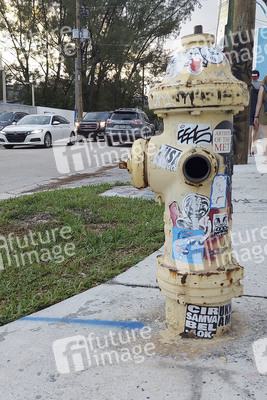 Statdteil Wynwood in Miami