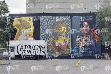 Statdteil Wynwood in Miami