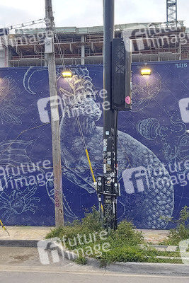 Statdteil Wynwood in Miami