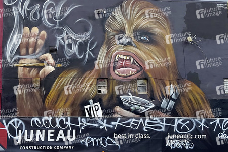 Statdteil Wynwood in Miami