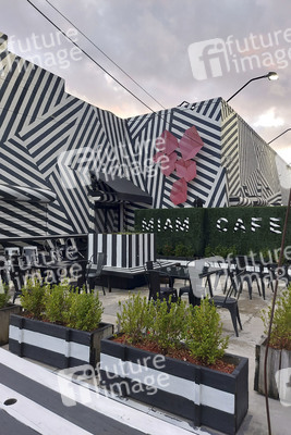 Statdteil Wynwood in Miami