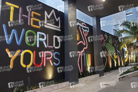 Statdteil Wynwood in Miami