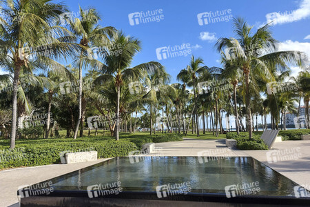 Sightseeing Miami Beach