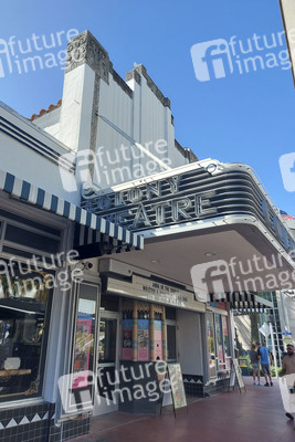 Sightseeing Miami Beach