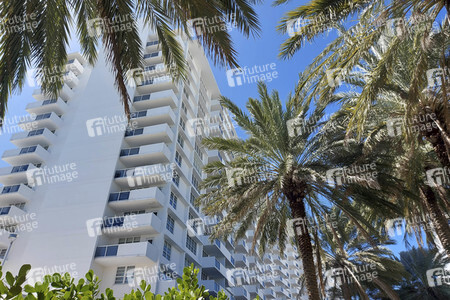 Sightseeing Miami Beach