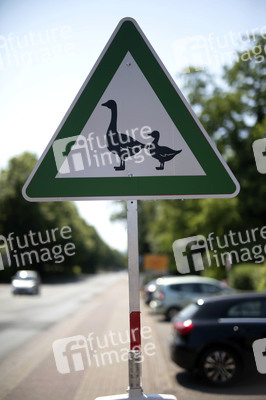 Symbolfoto 'Achtung Enten'