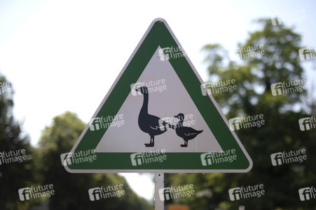 Symbolfoto 'Achtung Enten'