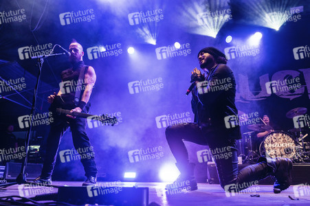 Paddy Rock Open Air in Halvestorf