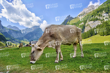 Seealpsee bei Wasserauen