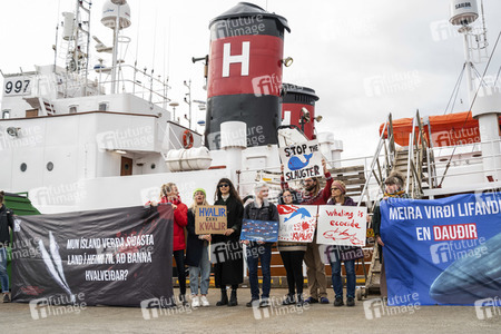 Protest gegen die Aufhebung des Walfangverbots in Reykjavik