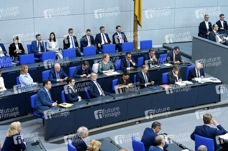 117. Sitzung des Deutschen Bundestages in Berlin