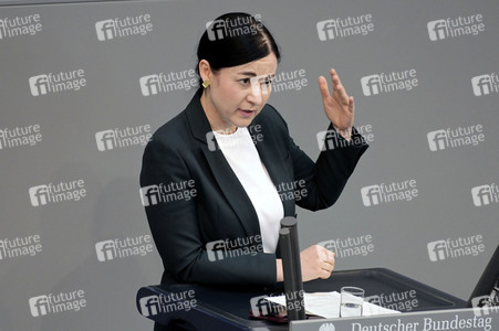 119. Sitzung des Deutschen Bundestages in Berlin
