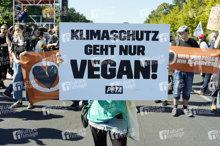 Globaler Klimastreik von Fridays for Future in Berlin