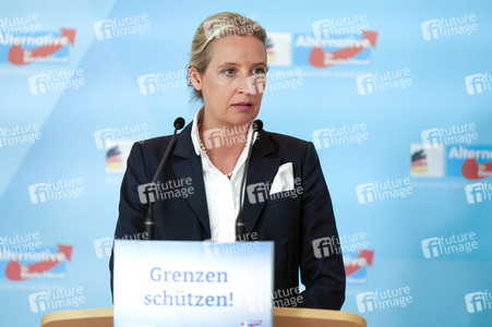Fraktionssitzung der AfD-Bundestagsfraktion in Berlin