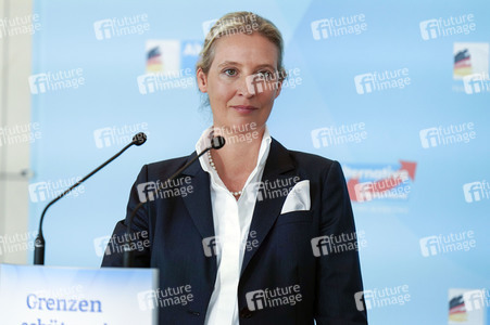 Fraktionssitzung der AfD-Bundestagsfraktion in Berlin