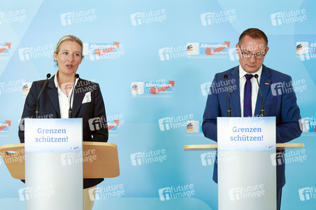 Fraktionssitzung der AfD-Bundestagsfraktion in Berlin
