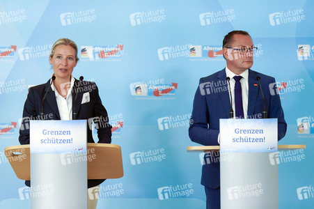 Fraktionssitzung der AfD-Bundestagsfraktion in Berlin