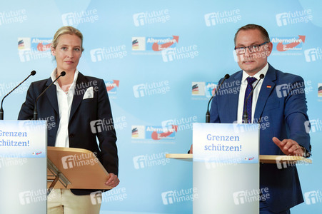 Fraktionssitzung der AfD-Bundestagsfraktion in Berlin