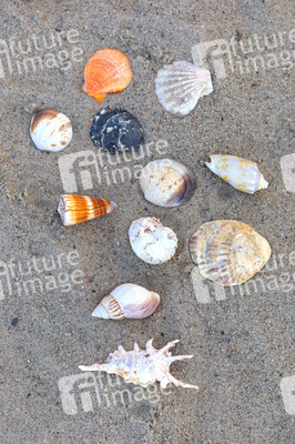 Symbolfoto Badestrand
