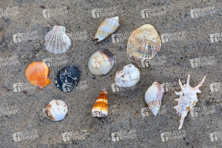Symbolfoto Badestrand