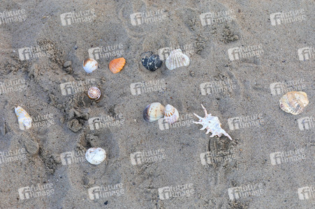 Symbolfoto Badestrand