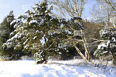Bodypainting in Nature Kalender 2024