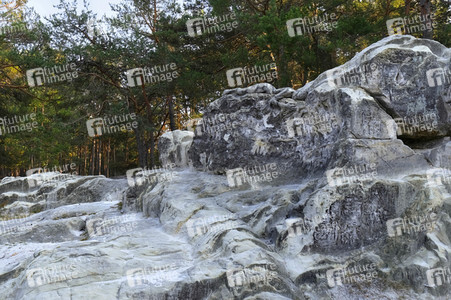 Bodypainting in Nature Kalender 2024