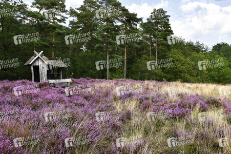 Bodypainting in Nature Kalender 2024