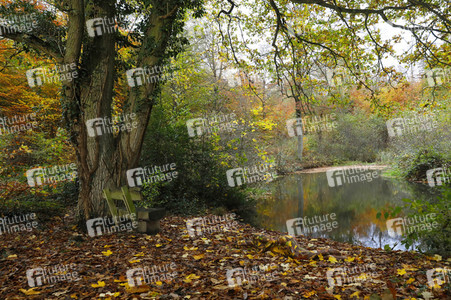 Bodypainting in Nature Kalender 2024