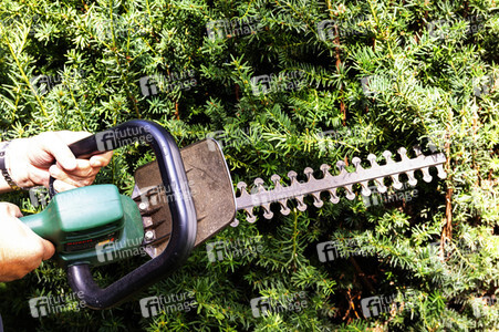 Symbolfoto Hecke schneiden