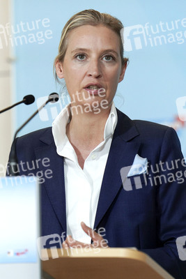 Pressestatement der  AfD-Bundestagsfraktion in Berlin