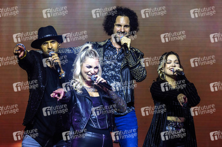 Wolffgang Petry Musical-Show 'Wahnsinn! - Die Show' in Erfurt