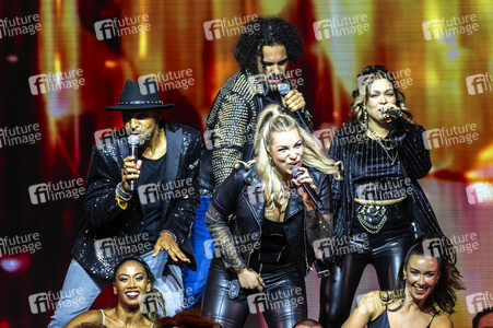Wolffgang Petry Musical-Show 'Wahnsinn! - Die Show' in Erfurt
