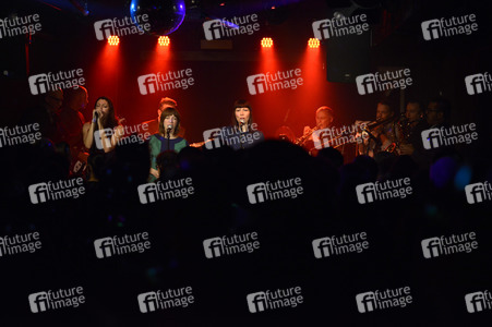 Konzert von The Inciters in Hannover