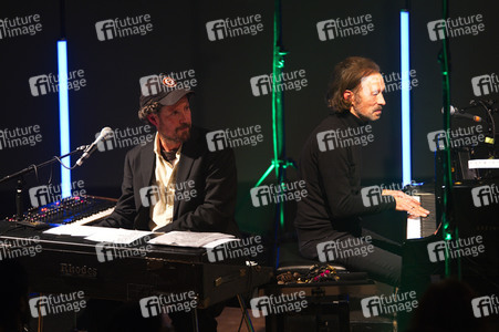 Konzert von Web Max in Berlin