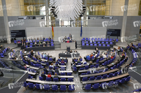 133. Sitzung des Deutschen Bundestages in Berlin