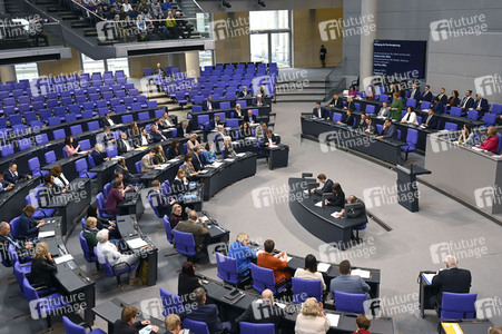 133. Sitzung des Deutschen Bundestages in Berlin