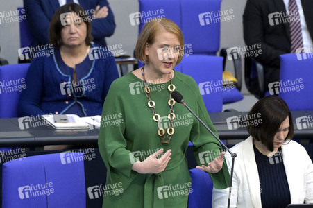 133. Sitzung des Deutschen Bundestages in Berlin