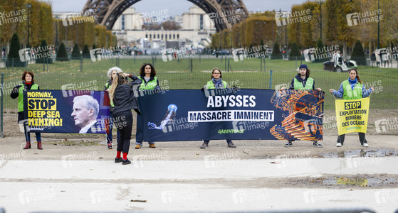 Greenpeace-Demo in Paris