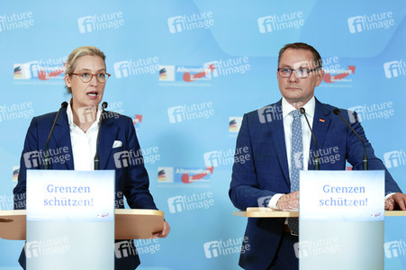 Fraktionssitzung der AfD-Bundestagsfraktion in Berlin