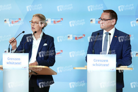 Fraktionssitzung der AfD-Bundestagsfraktion in Berlin
