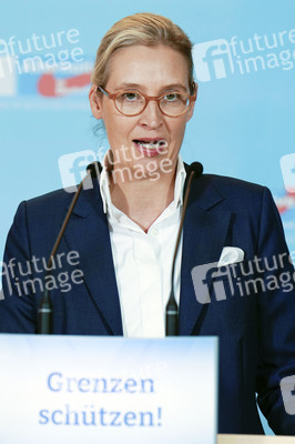 Fraktionssitzung der AfD-Bundestagsfraktion in Berlin