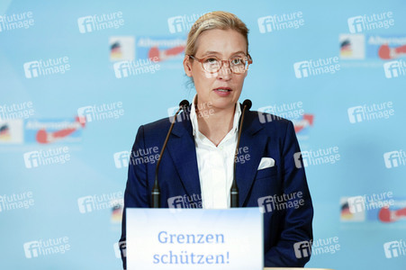 Fraktionssitzung der AfD-Bundestagsfraktion in Berlin