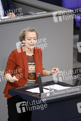 138. Sitzung des Deutschen Bundestages in Berlin