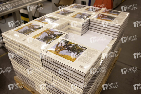 Buchproduktion 'Bodypainting in Nature - Farbige Symbiosen' in Hannover