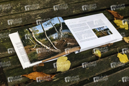 Buchproduktion 'Bodypainting in Nature - Farbige Symbiosen' in Hannover