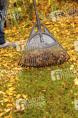 Symbolfoto Laub harken