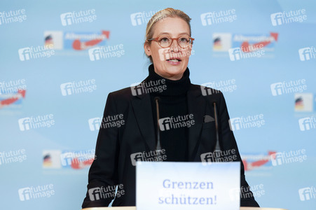Fraktionssitzung der AfD-Bundestagsfraktion in Berlin
